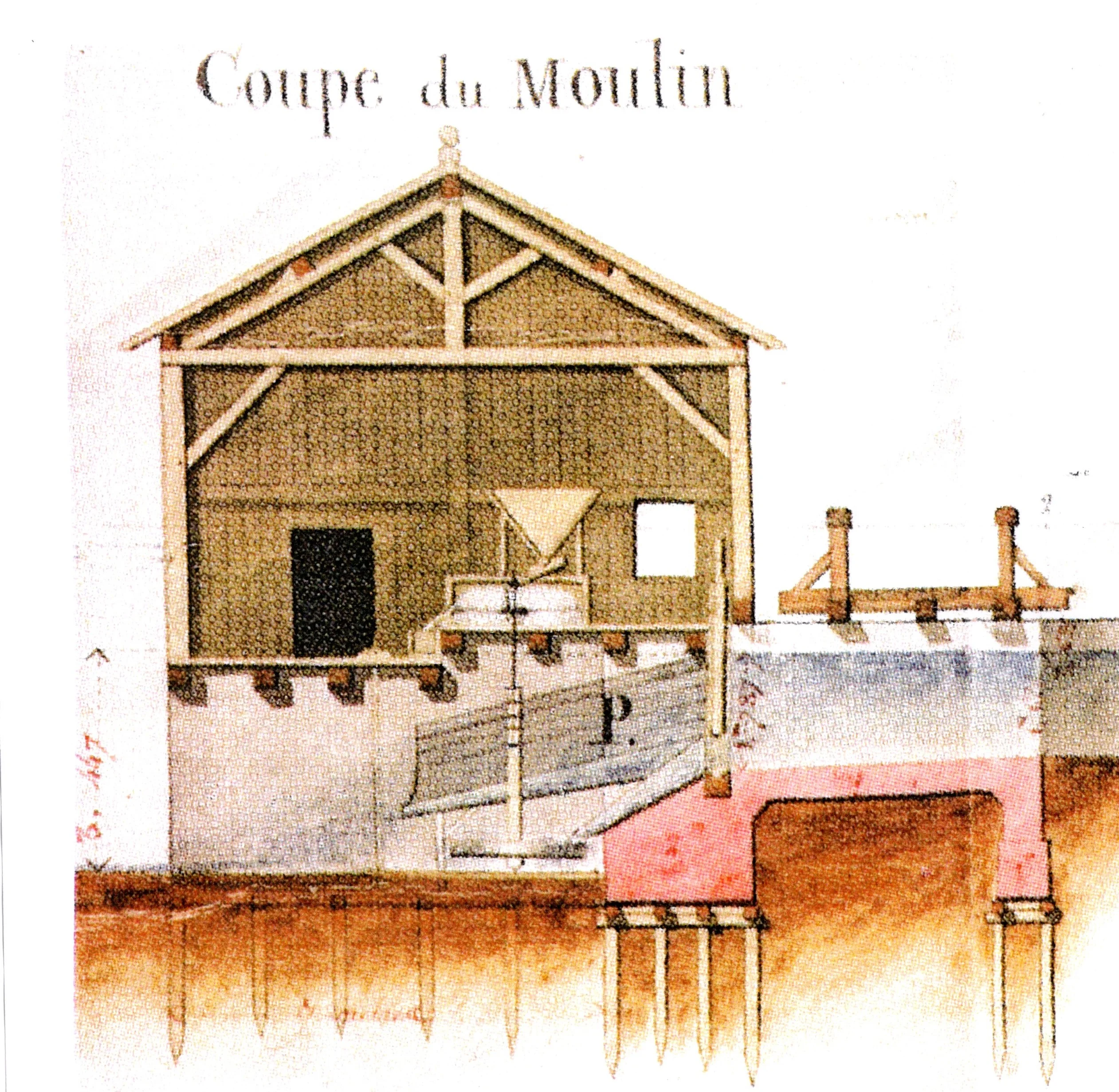 Coupe d'un moulin